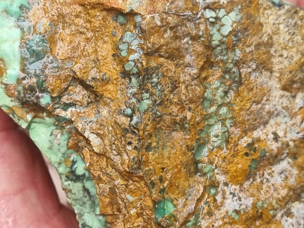 Variscite rough. VR523