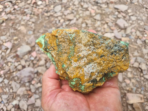 Variscite rough. VR523