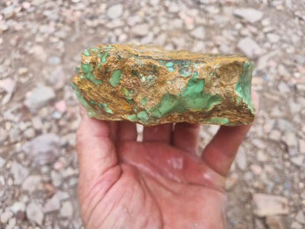 Variscite rough. VR523