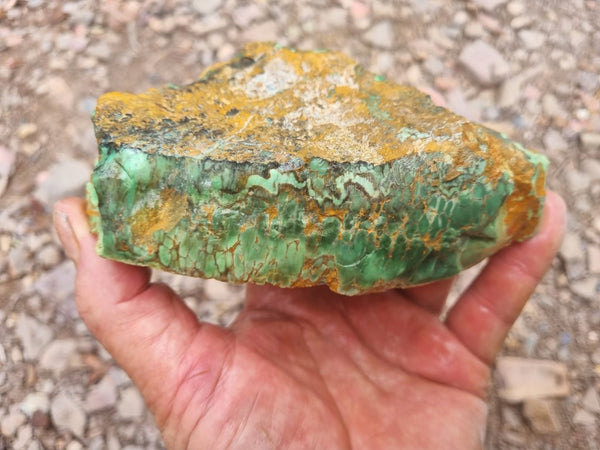 Variscite rough. VR523