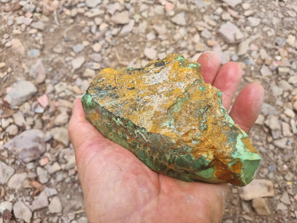 Variscite rough. VR523