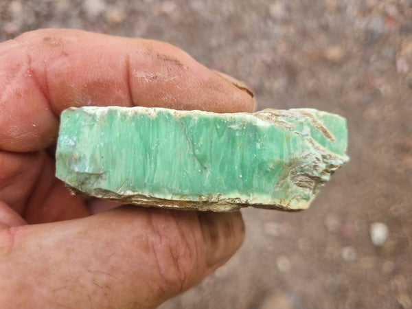 Variscite rough. VR530