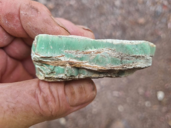 Variscite rough. VR530