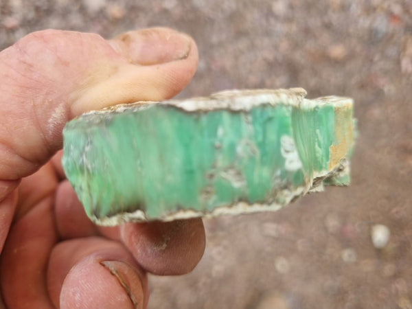 Variscite rough. VR530