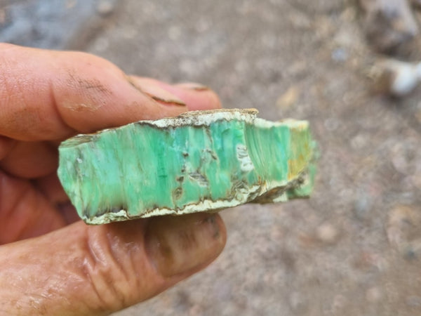 Variscite rough. VR530