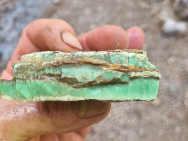 Variscite rough. VR530