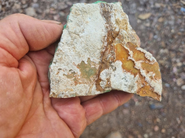 Variscite rough. VR529