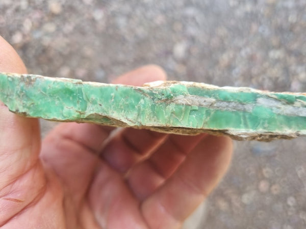 Variscite rough. VR529