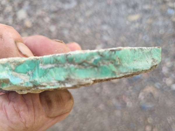 Variscite rough. VR529