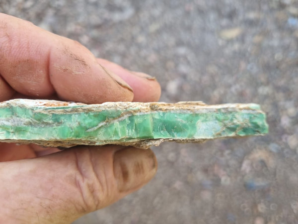 Variscite rough. VR529