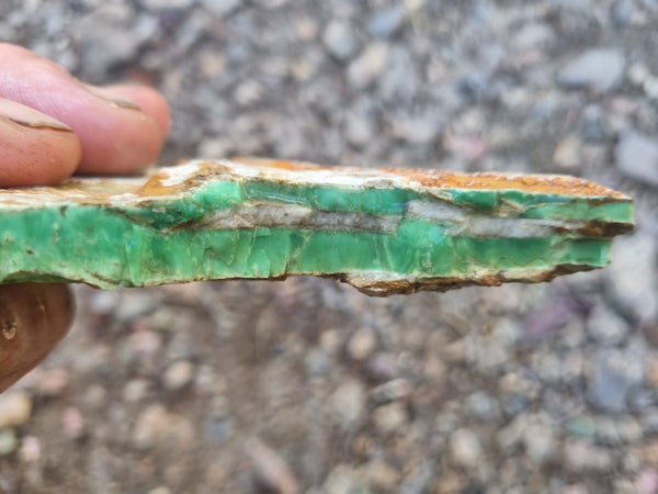 Variscite rough. VR529