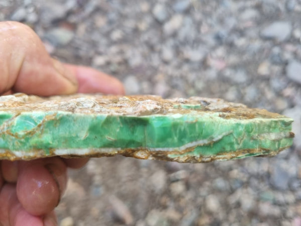 Variscite rough. VR529