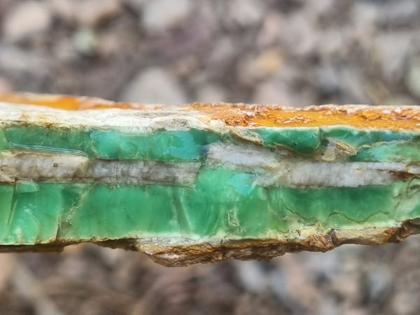 Variscite rough. VR529