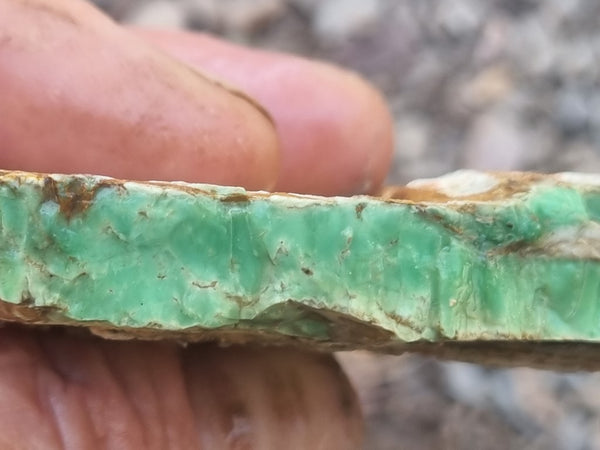 Variscite rough. VR529