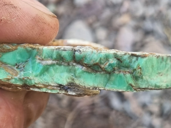 Variscite rough. VR529