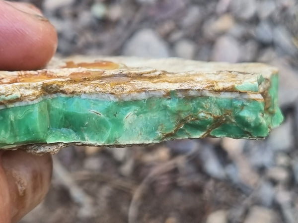 Variscite rough. VR529