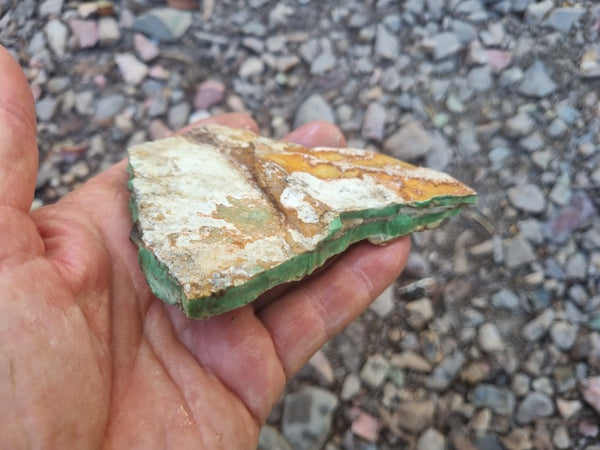 Variscite rough. VR529