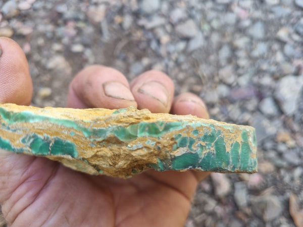 Variscite rough. VR525