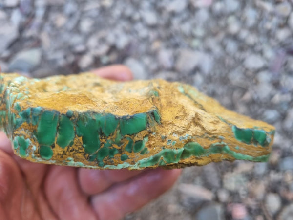 Variscite rough. VR525