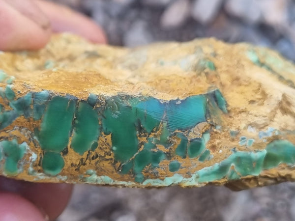 Variscite rough. VR525