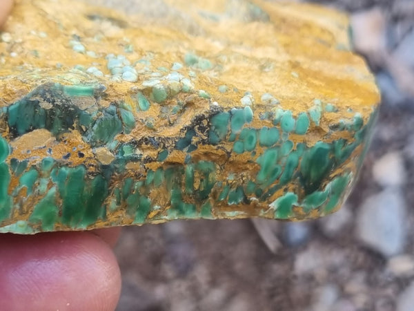 Variscite rough. VR525