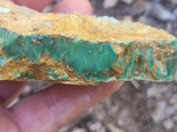 Variscite rough. VR525