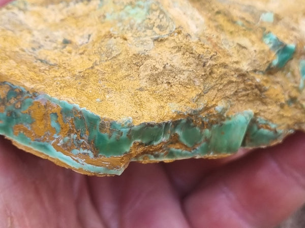 Variscite rough. VR525