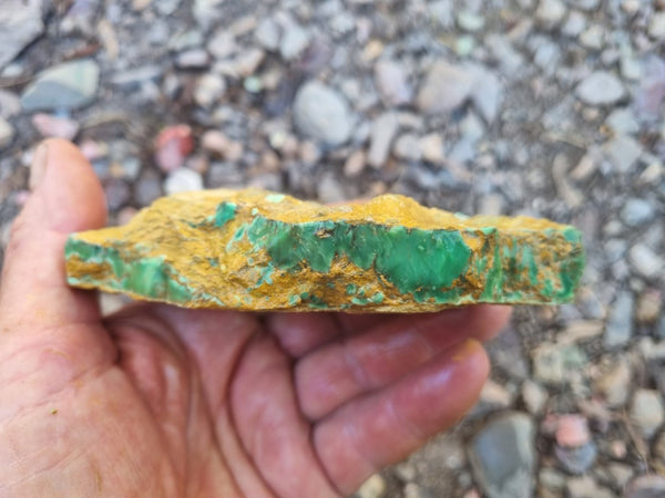 Variscite rough. VR525