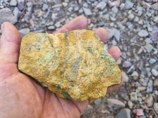 Variscite rough. VR525