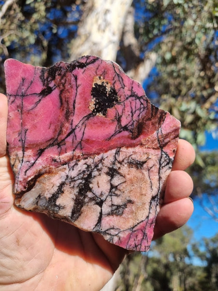 Polished Rhodonite slab RH259