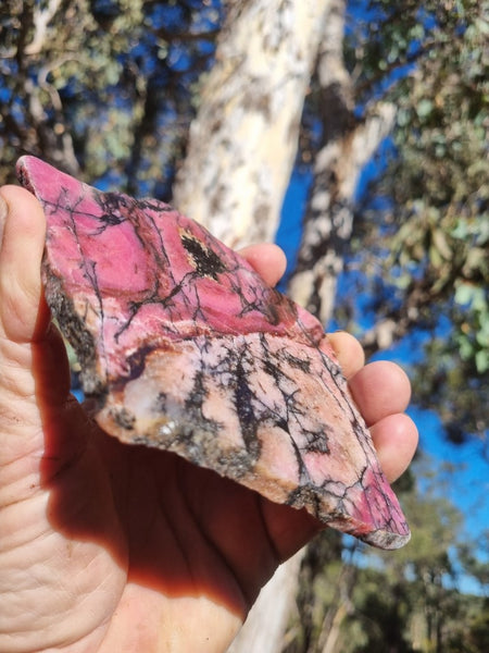 Polished Rhodonite slab RH259