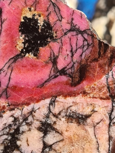 Polished Rhodonite slab RH259