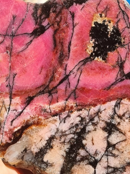 Polished Rhodonite slab RH259