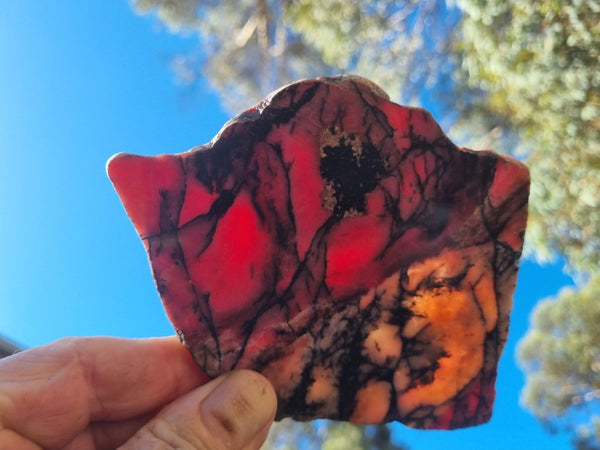 Polished Rhodonite slab RH259