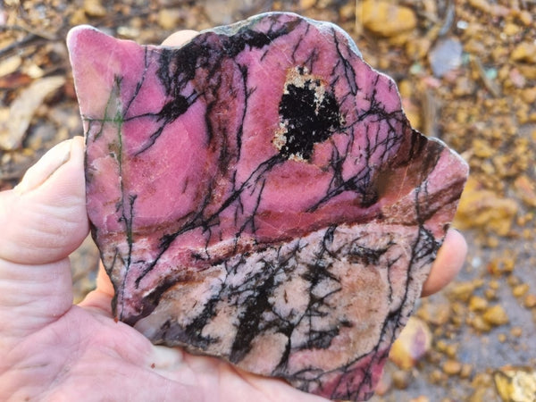 Polished Rhodonite slab RH259