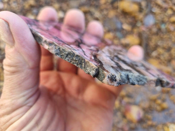 Polished Rhodonite slab RH259