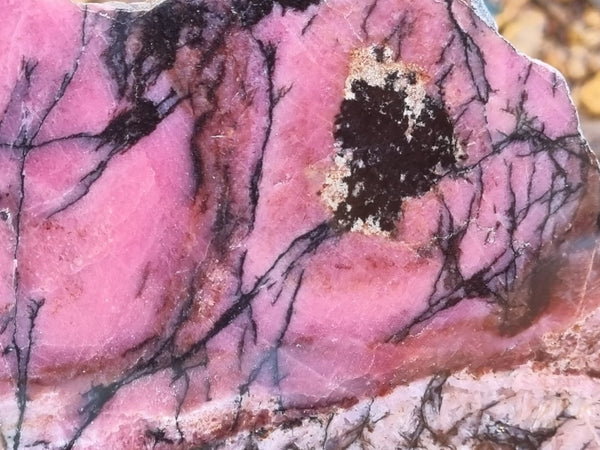 Polished Rhodonite slab RH259