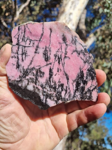 Polished Rhodonite slab RH261