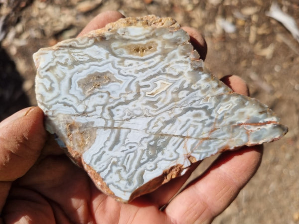 Polished Kumarina Agate slab KA138