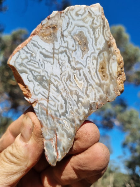 Polished Kumarina Agate slab KA138