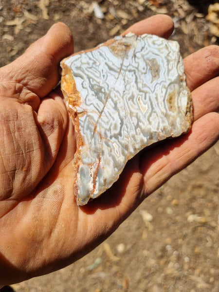 Polished Kumarina Agate slab KA138