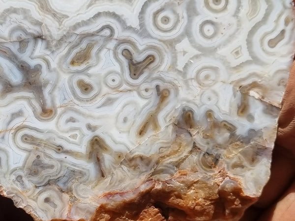 Polished Kumarina Agate slab KA140