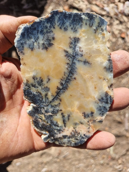 Polished Dendritic Opal slab DO187