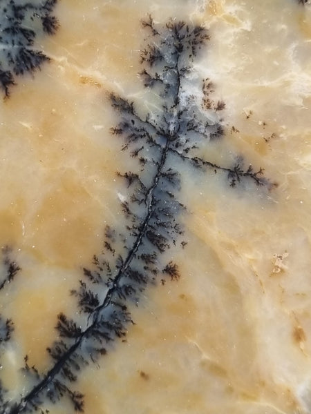 Polished Dendritic Opal slab DO187