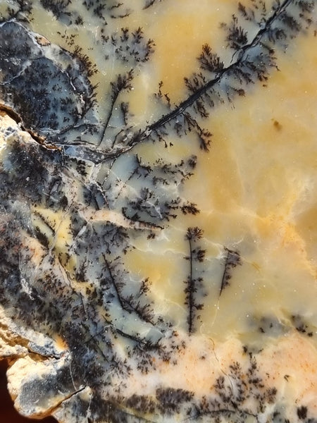 Polished Dendritic Opal slab DO187