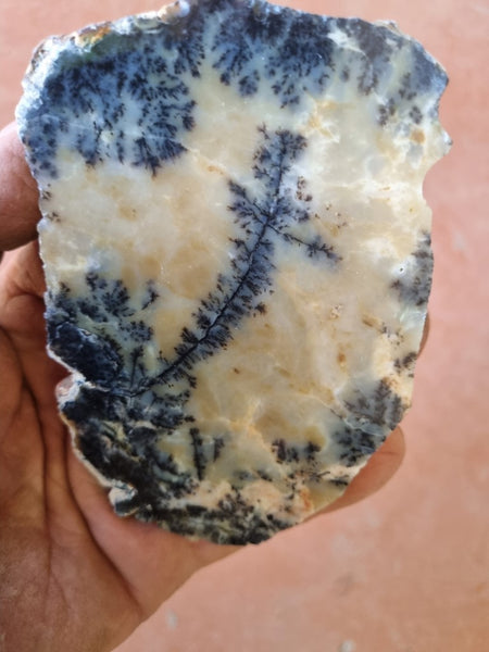 Polished Dendritic Opal slab DO187