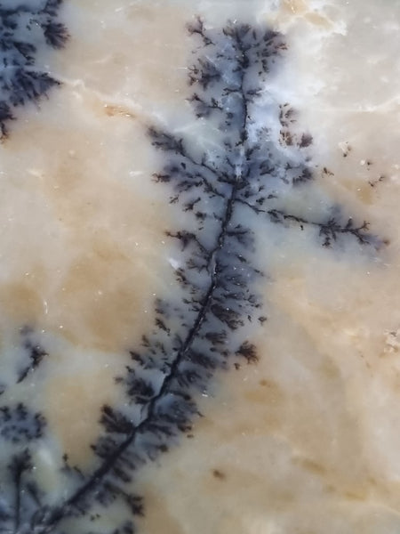 Polished Dendritic Opal slab DO187