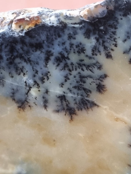 Polished Dendritic Opal slab DO187