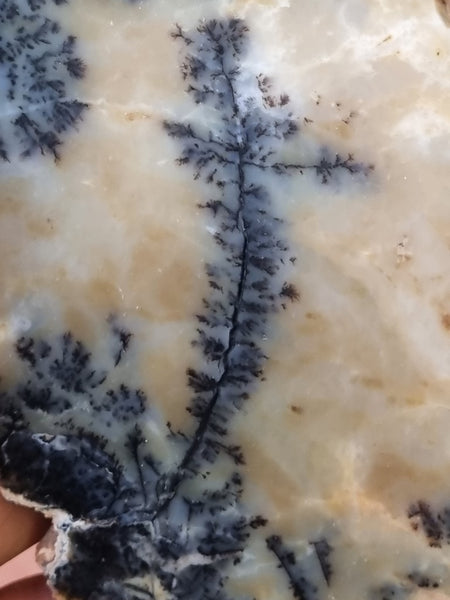 Polished Dendritic Opal slab DO187