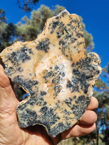 Polished Dendritic Opal slab DO188